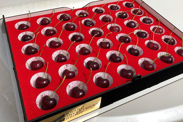 Первая партия узбекской черешни доставлена в Шанхай