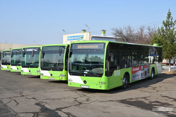 В Ташкенте открыто семь новых автобусных маршрутов