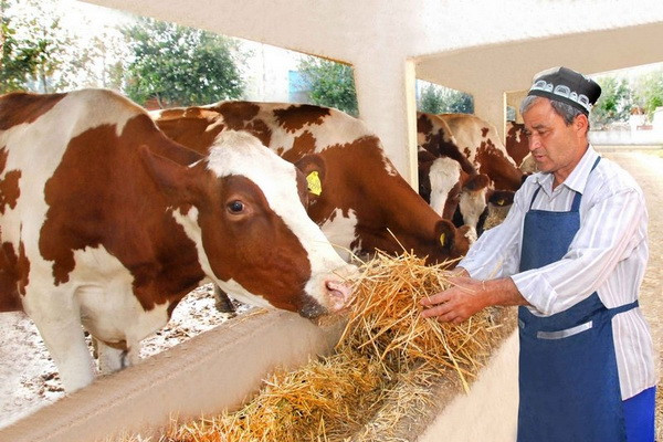 Farms are given the opportunity to pay taxes in installments