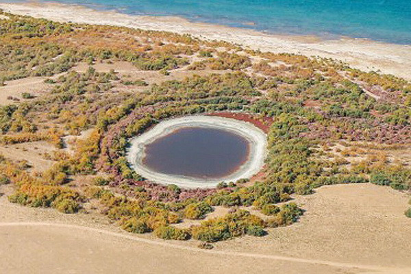 The ecology of the Aidar-Arnasay lake system will be regularly monitored
