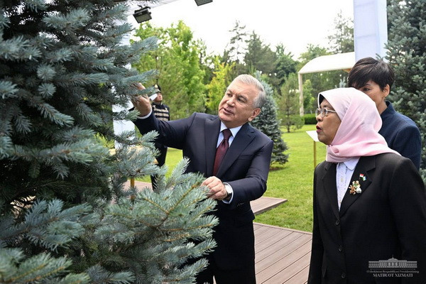 Президенты Узбекистана и Сингапура посадили дерево