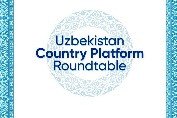 A plenary meeting of the "Country Platform" for Uzbekistan takes place in Tashkent