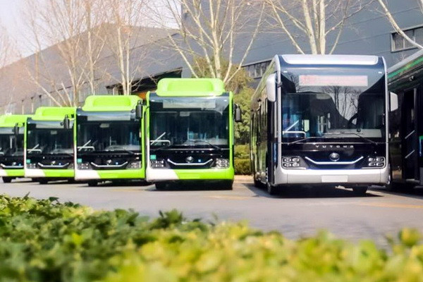 Some public transport routes have changed in the capital