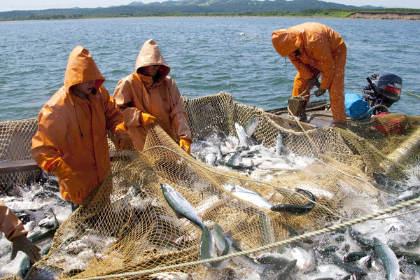 15,700 tons of fish were caught in Uzbekistan
