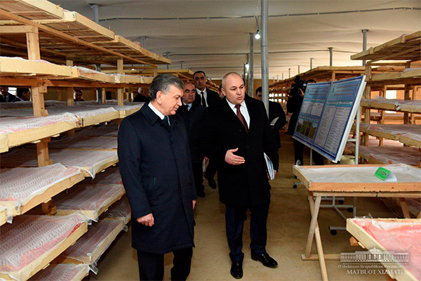 President gets acquainted with innovative silkworm farm