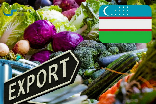 TOP 10 export countries of Uzbekistan
