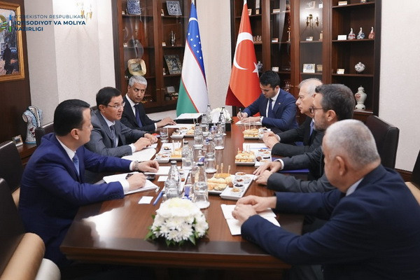 Vice Prime Minister and Yildiz Group discuss cooperation development