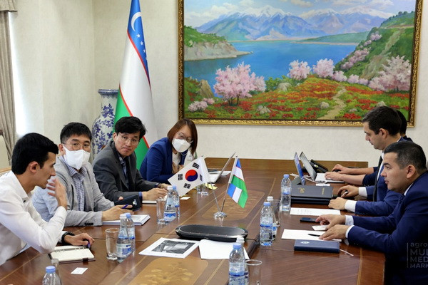 Korean technologies for year-round cultivation of strawberries to appear in Uzbekistan
