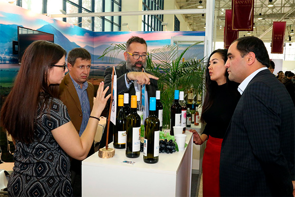 Создается Агентство по развитию виноградарства и виноделия