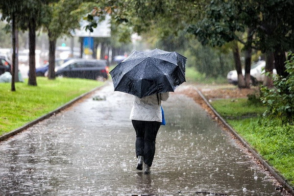 Uzhydromet warns of heavy rains and thunderstorms early next week