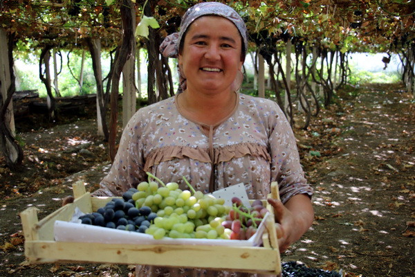 Japan provides US$1 million for UNDP to promote the climate-resilient development in Ferghana valley