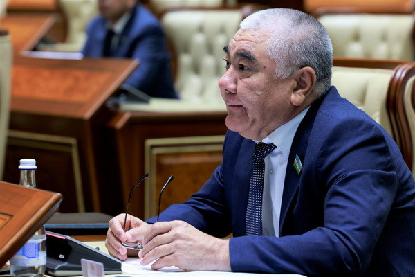 Parliamentary inquiry sends to cabinet of ministers on issues of self-employment