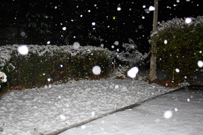 В Ташкенте пошел первый снег