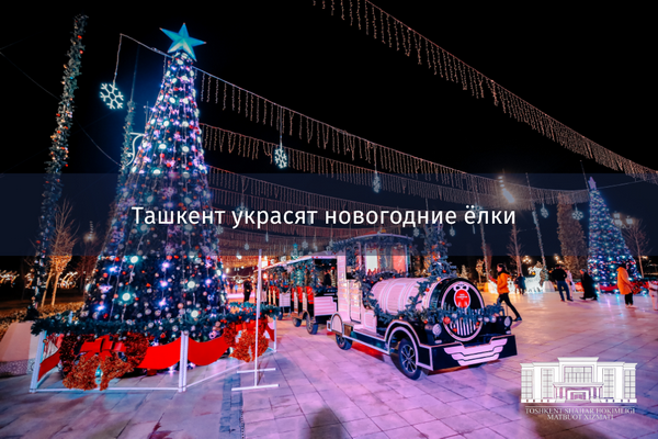 New Year Trees to be installed in Tashkent