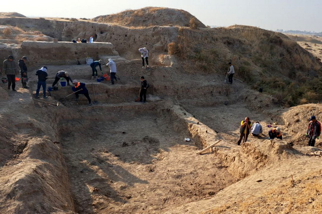 Археологи нашли на городище Канка редкие артефакты военной культуры Археологи нашли на городище Канка редкие артефакты военной культуры