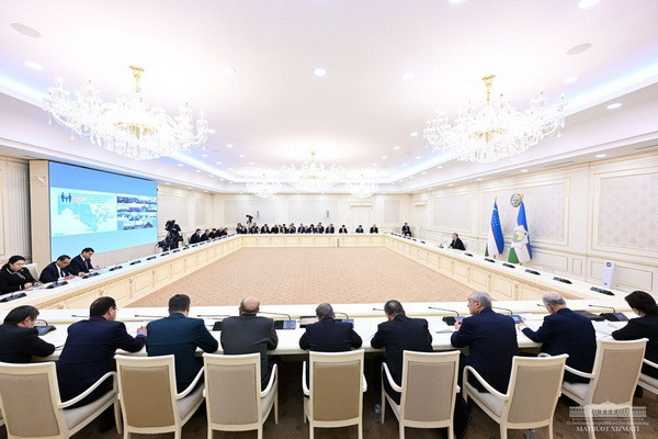 Uzbek President instructs to create a system of employment in government organizations for young people who graduated from universities and were deprived of parental care