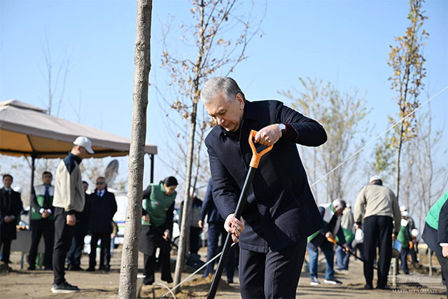 Shavkat Mirziyoyev plants a tree in a new garden