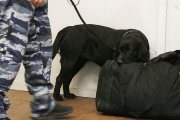 A suspicious package was found on the territory of the Malika shopping center
