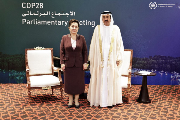Uzbekistan, UAE discuss cooperation of parliaments