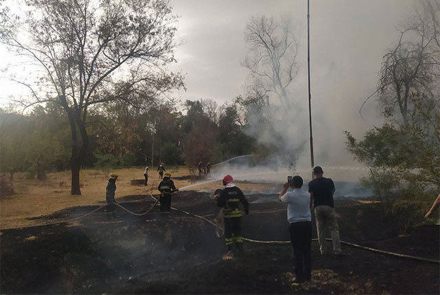 Grass Fire Near Tashkent International Airport Quickly Extinguished