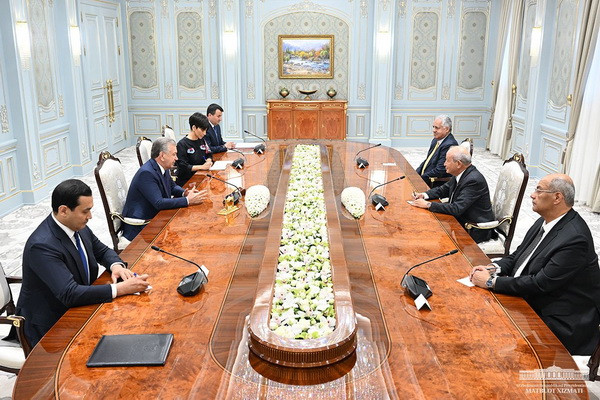 President of Uzbekistan receives the head of the leading Egyptian company