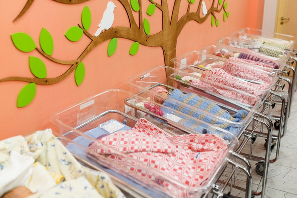The largest number of births in May was recorded in Samarkand region