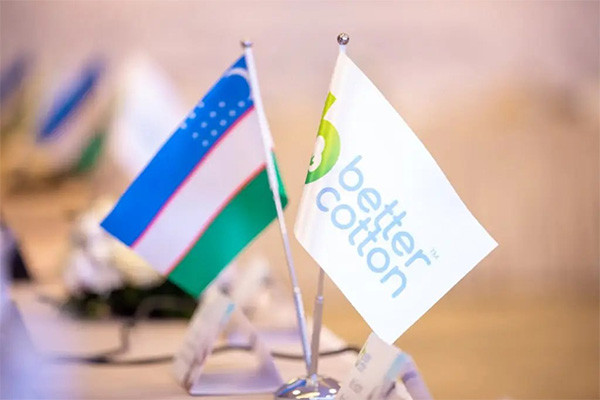 Better Cotton Strengthens Due Diligence and Decent Work Standards in Uzbekistan