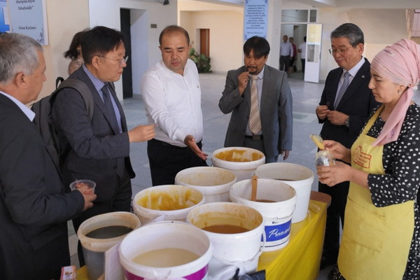 Korea invests in the development of beekeeping in Uzbekistan