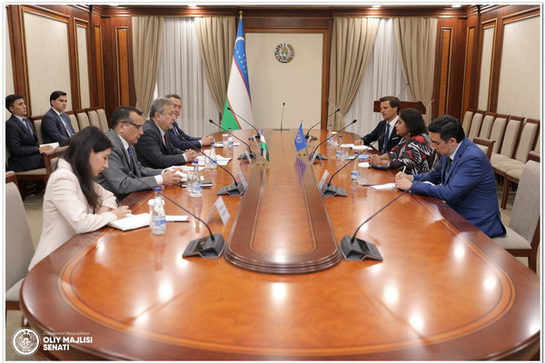 Issues of cooperation with the UN discussed
