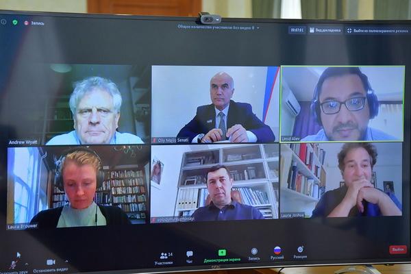 An online meeting with the ILO takes place