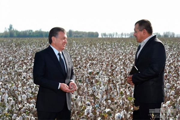 Президент встретился с фермерами Ташкентской области