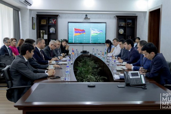 Uzbekistan, Armenia discuss issues of cooperation in the agricultural sector