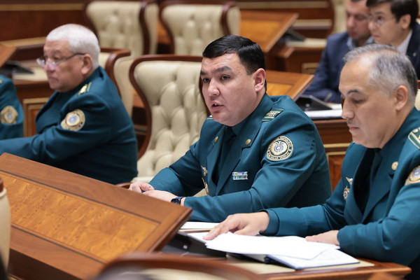 Сенат одобрил Закон «О дорожном движении»