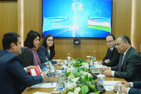 Issues of cooperation with UNESCO in the field of higher and professional education discussed