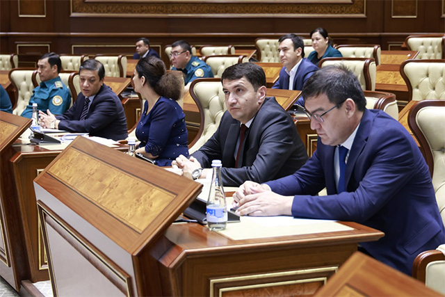 Senate amends various legislative acts