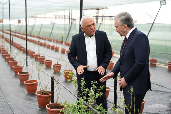Market-demanded berries to be grown in “Lalmikor” mahalla