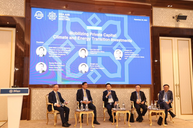 Mobilizing Private Capital: Investments in climate and energy transition