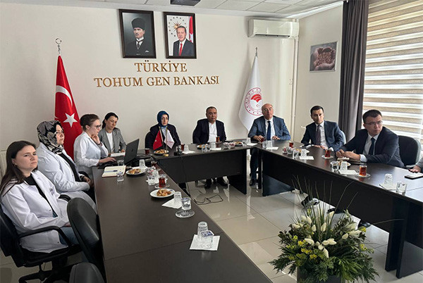 Uzbekistan and Türkiye discussed cooperation in the field of agriculture