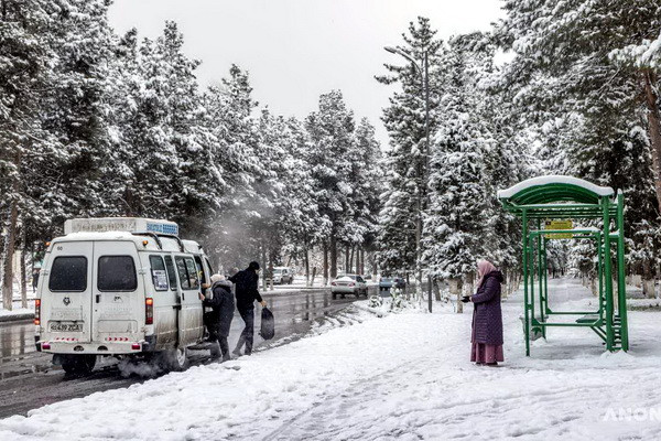 Frosts to are approaching Uzbekistan
