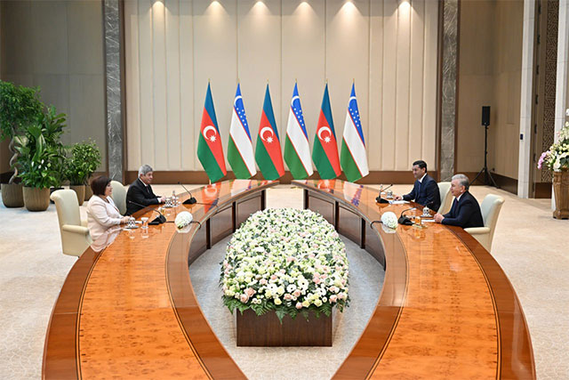 Shavkat Mirziyoyev meets Chairwoman of the Milli Majlis of Azerbaijan