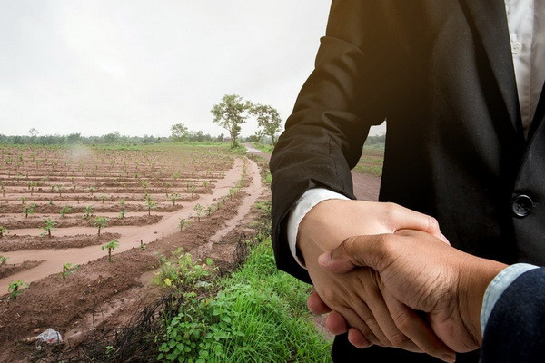 The procedure for the withdrawal of land plots for public needs in exchange for compensation has been established