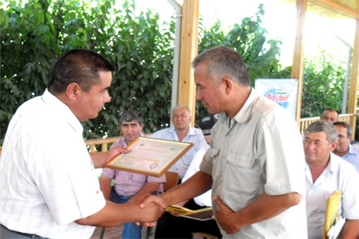 MPs Groups control execution of the program