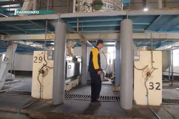 The possibility of growing oilseeds and the production of oil and fat products is growing in Uzbekistan