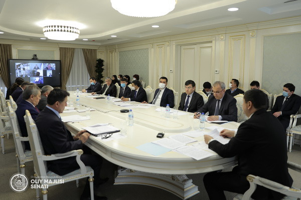 Laws on ratification of international treaties discussed in advance