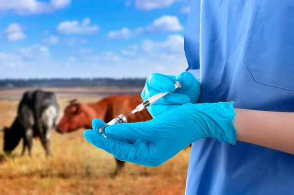 Uzbekistan to improve the training of personnel in the field of veterinary medicine