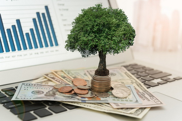 Procedure for the examination of investment agreements approved