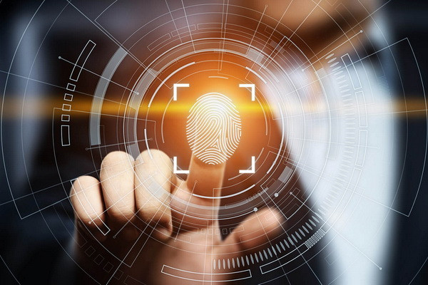 The system of biometric identification of voters to be tested at referendum