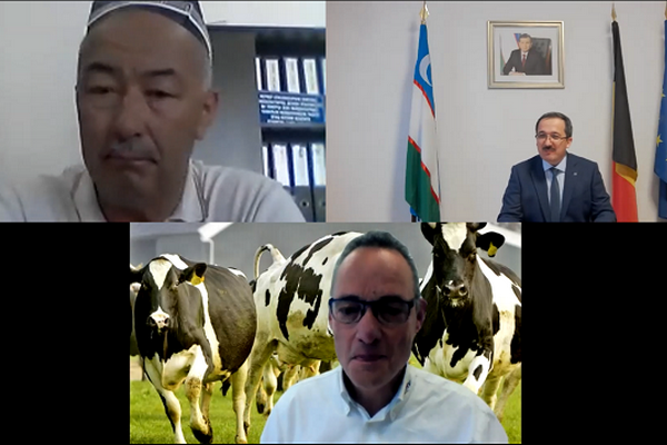 Representatives of Uzbekistan and the Netherlands discuss the potential for cooperation in the livestock industry
