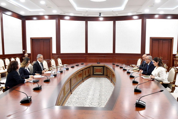 Special Representative of the President holds meeting with the Ambassador of Türkiye