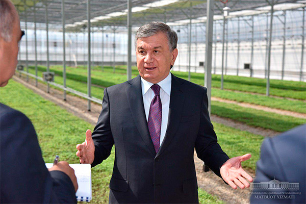 Президент поставил в пример предприятие «Бек кластер»